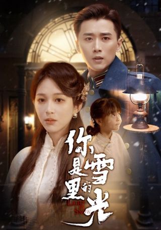 短剧你是雪里的光海报