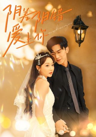 短剧阴差阳错爱上你海报