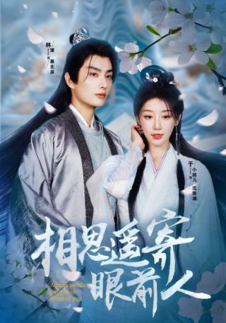 短剧相思遥寄眼前人海报