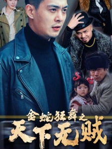 短剧金蛇狂舞之天下无贼海报