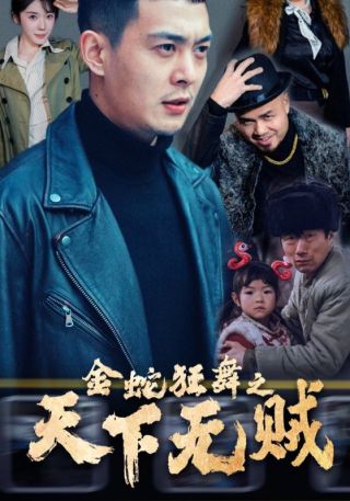 短剧金蛇狂舞之天下无贼海报