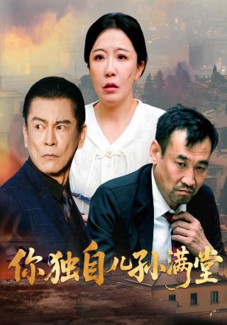 短剧你独自儿孙满堂海报