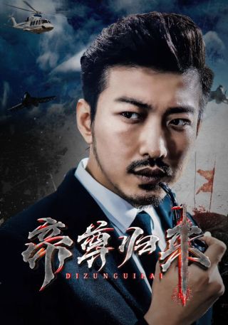 短剧帝尊归来海报