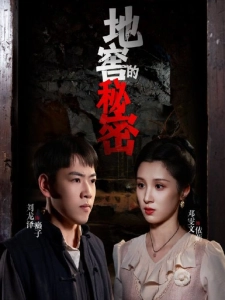 短剧地窖的秘密海报