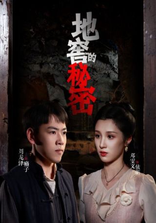 短剧地窖的秘密海报