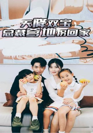 短剧天降双宝，总裁爹地拐回家海报