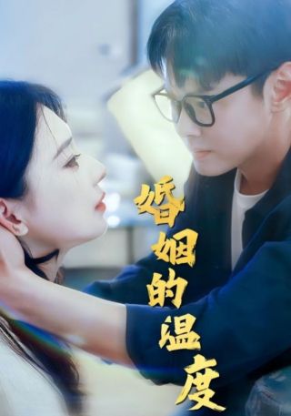 短剧婚姻的温度海报