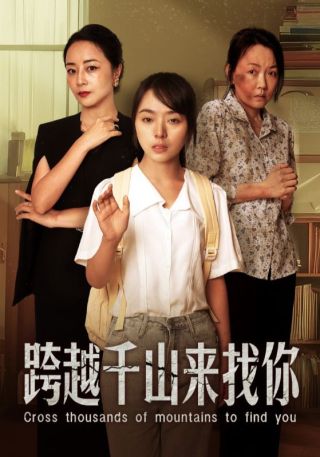 短剧跨越千山来找你海报