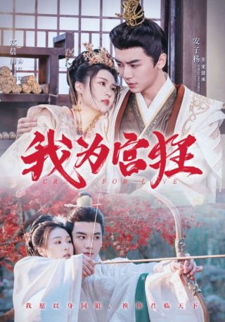 短剧我为宫狂海报