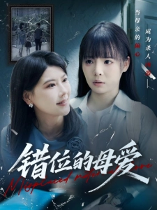 短剧错位的母爱海报