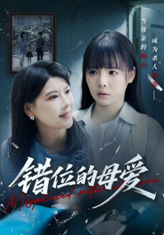 短剧错位的母爱海报