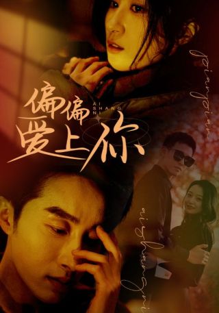 短剧偏偏爱上你海报