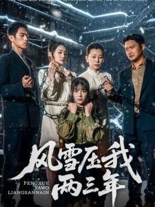 短剧风雪压我两三年海报