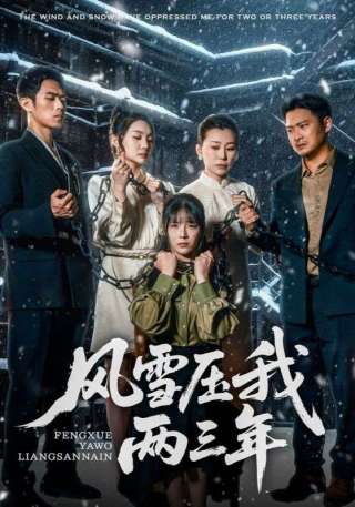 短剧风雪压我两三年海报