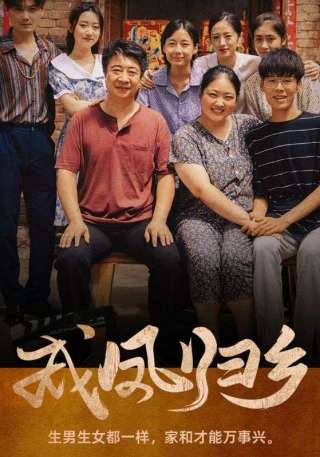 短剧成凤归乡海报