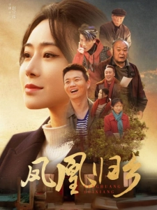 短剧凤凰归乡海报