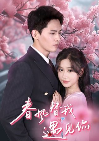 短剧春风替我遇见你海报