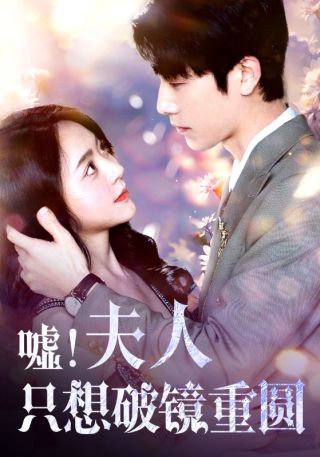 短剧嘘！夫人只想破镜重圆海报