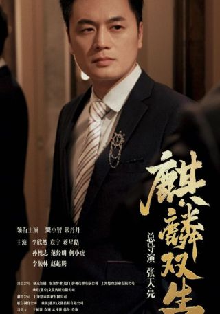 短剧麒麟双生海报