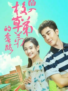 短剧陷入校草弟弟的套路海报