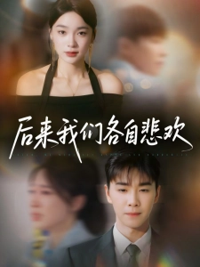 短剧后来我们各自悲欢海报