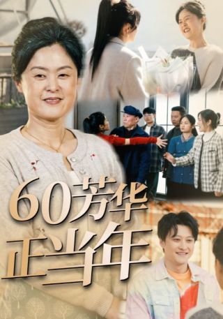 短剧60芳华正当年海报