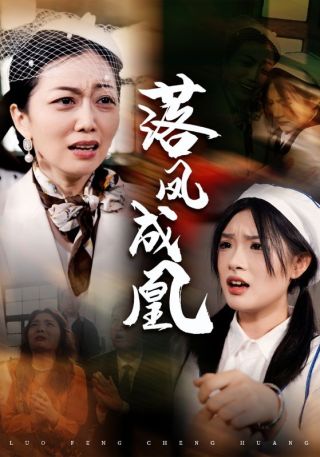 短剧落凤成凰海报