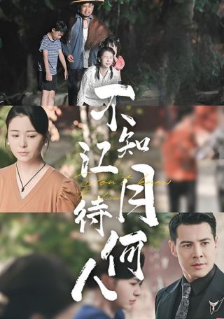 短剧不知江月待何人海报