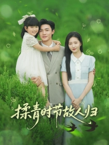 短剧揉青时节故人归海报