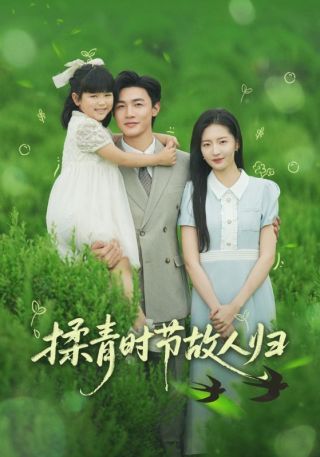 短剧揉青时节故人归海报