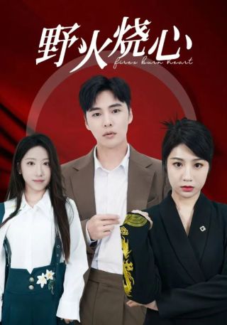 短剧野火烧心海报
