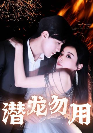 短剧潜龙勿用海报