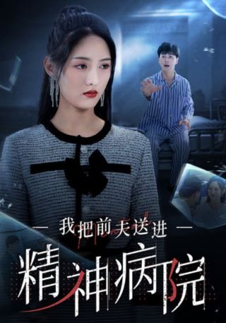 短剧我把前夫送进精神病院海报