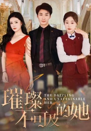 短剧璀璨不可及的她海报