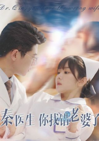 短剧秦医生你找错老婆了海报
