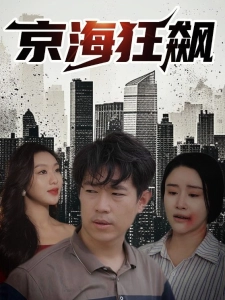 短剧京海狂飙海报