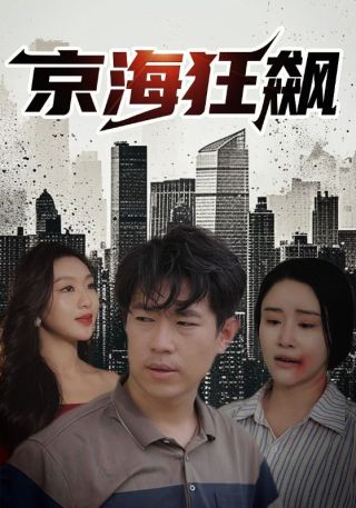 短剧京海狂飙海报