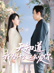 短剧天知道我为什么这么爱你海报