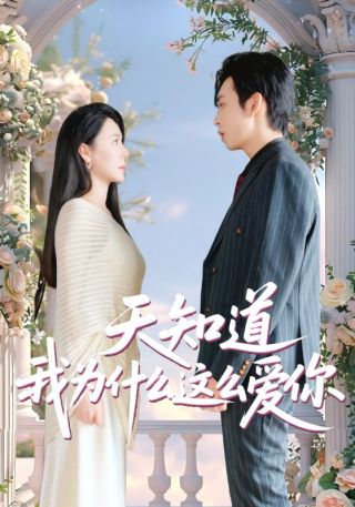 短剧天知道我为什么这么爱你海报