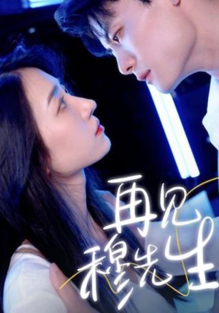 短剧再见，穆先生海报