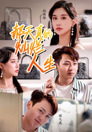 短剧郝天真的灿烂人生海报