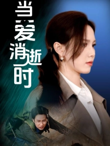 短剧当爱消逝时海报