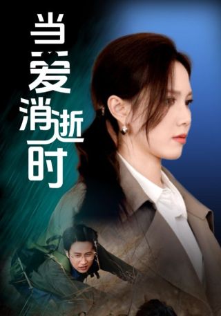 短剧当爱消逝时海报