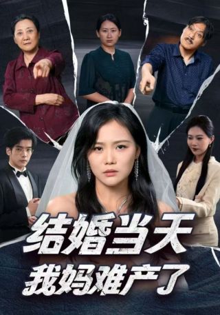 短剧结婚当天我妈难产了海报