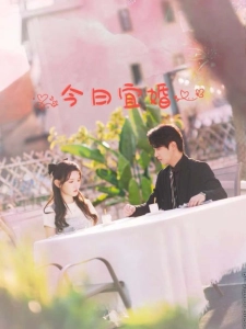 短剧今日宜婚海报