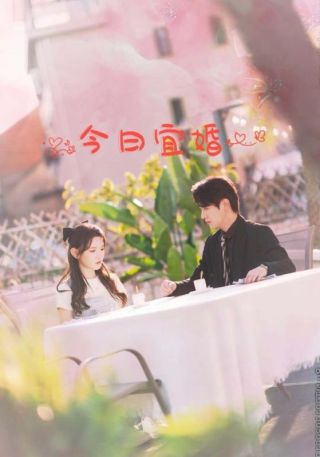 短剧今日宜婚海报