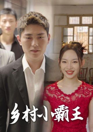 短剧乡村小霸王海报