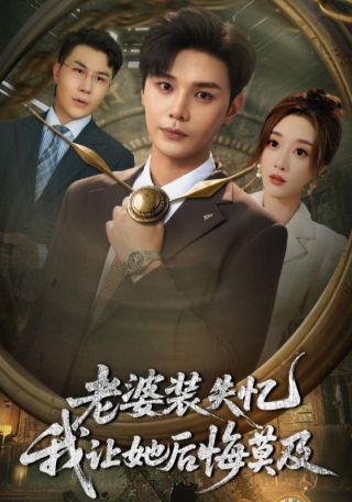 短剧老婆装失忆我让她后悔莫及海报