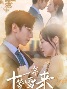 短剧十一年等雪来海报