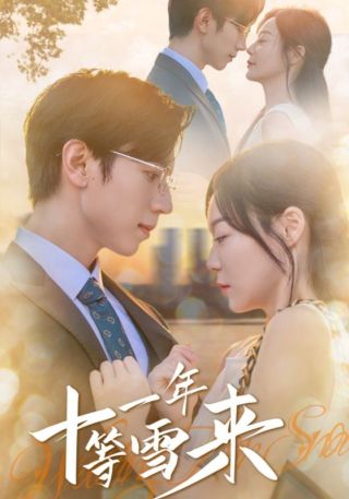 短剧十一年等雪来海报